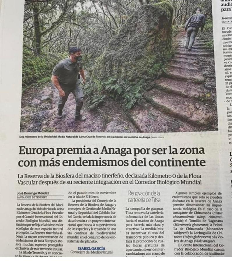 La Casita De Omar En El Corazon De Anaga Y La Laguna Las Mercedes Dış mekan fotoğraf