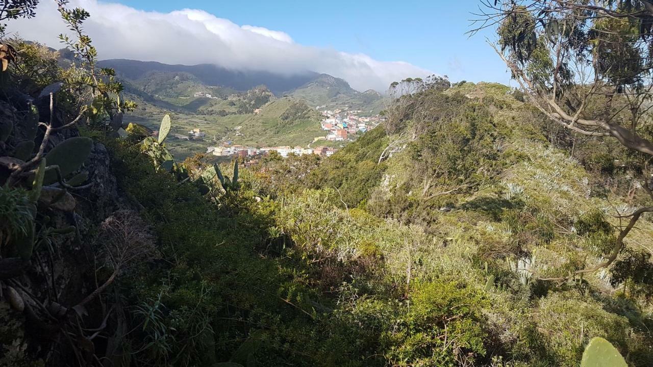 La Casita De Omar En El Corazon De Anaga Y La Laguna Las Mercedes Dış mekan fotoğraf