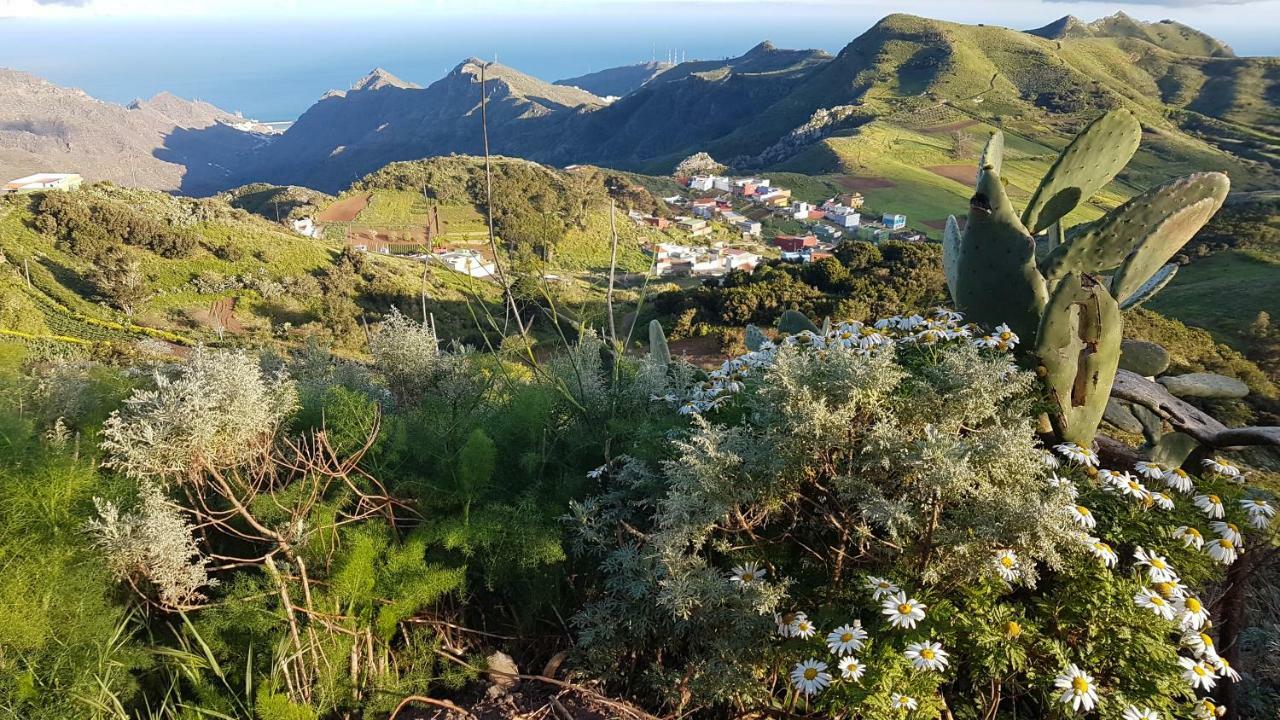 La Casita De Omar En El Corazon De Anaga Y La Laguna Las Mercedes Dış mekan fotoğraf
