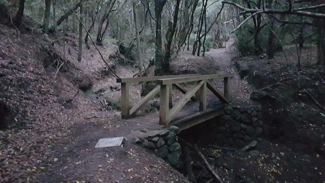 La Casita De Omar En El Corazon De Anaga Y La Laguna Las Mercedes Dış mekan fotoğraf