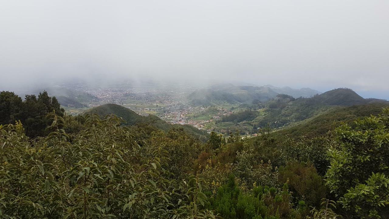 La Casita De Omar En El Corazon De Anaga Y La Laguna Las Mercedes Dış mekan fotoğraf