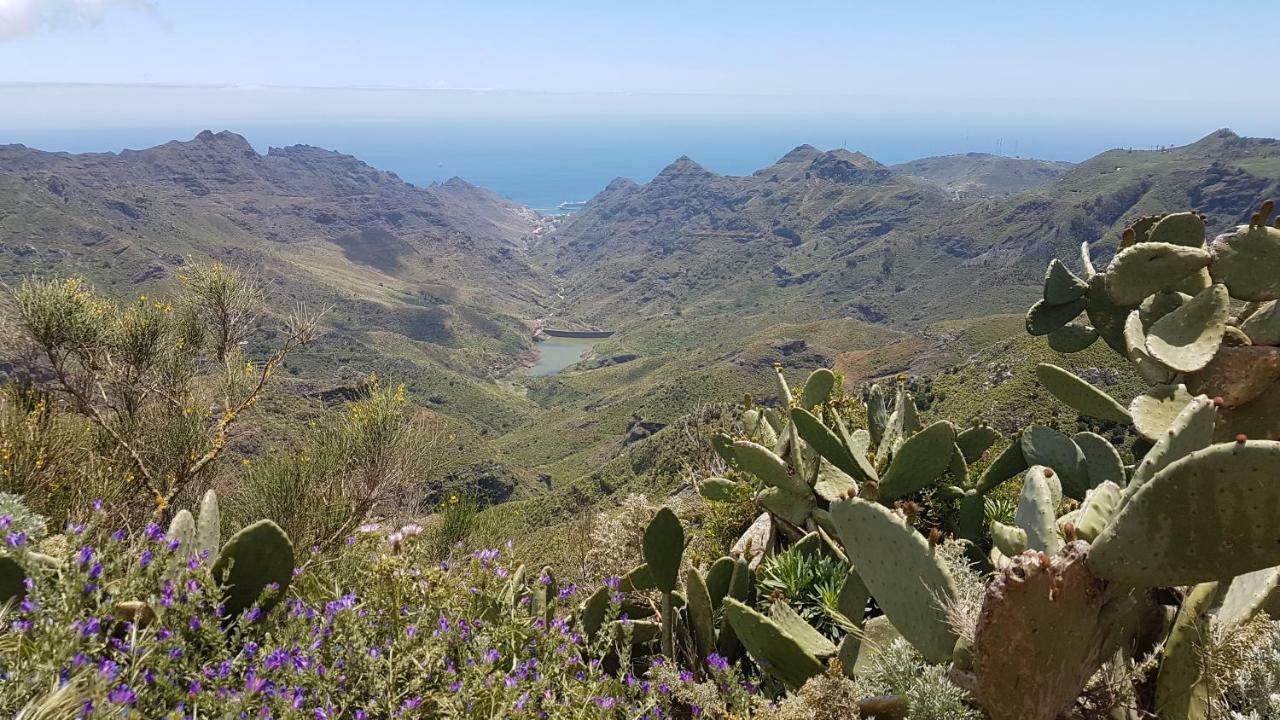 La Casita De Omar En El Corazon De Anaga Y La Laguna Las Mercedes Dış mekan fotoğraf